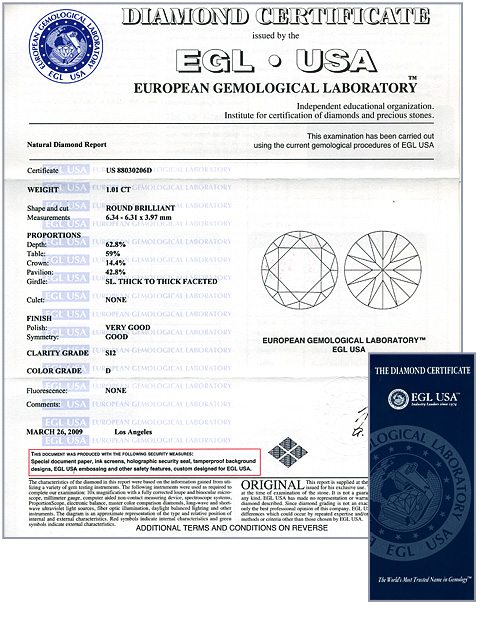 EGL Lab Report